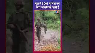 Jammu and Kashmir News: Poonch में भारतीय सेना और SOG पुलिस का सर्च ऑपरेशन जारी |