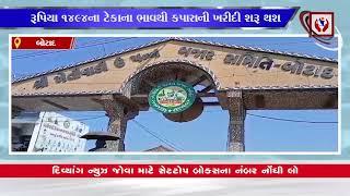 #botad | 25 નવેમ્બરથી બોટાદ APMC કપાસની ખરીદી શરૂ થશે | Divyang News |