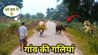 Sihora To Gourha Road Trip || हुआ बड़ा हादसा 😱🐅