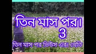 রোমান্টিক একটা ভিডিও।📽Assam Barpeta ভিডিওটা যদি ভালো লাগে। সবাই লাইক দিবেন। 🙏✅️♦️💟🌹🌹🌹