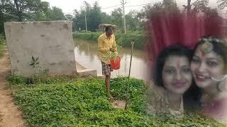 राजपुर जिला परिषद रेशमा कुमारी के जन्मोत्सव पर वृक्षारोपण सह वितरण
