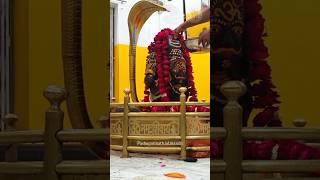 Pashupatinath mandir narsinghgarh Madhya Pradesh