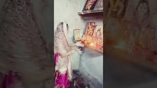 Avatar Mai Patan Devi sajna Durga ji ke gana best video achcha Lage to Jay mataji likh Dena comm🙏🙏🌹🥀