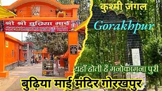 बुढ़िया माई मन्दिर, कुश्मी जंगल, गोरखपुर // Budhiya Mai Mandir Kushmi Jungle Gorakhpur