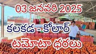 03 జనవరి 2025 // కోలార్ //కలకడ //🍅🍅🍅టమోటా మార్కెట్ ధరలు