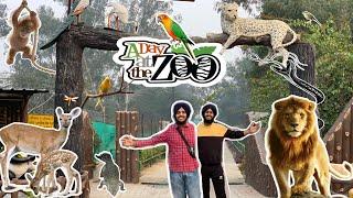 Patiala Zoo 🐒🐊 Il Deer 🦌Park Patiala | ਪਟਿਆਲੇ ਦਾ ਚਿੜੀਆ ਘਰ | Ticket-10/- | Full information Vlog