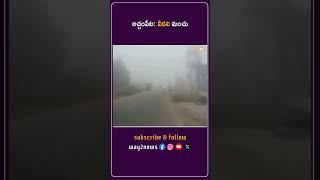 వీడని మంచు | Guntur | Andhra Pradesh | Way2news Telugu