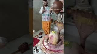 प्रयुतेश्वर महादेव ,भीनमाल,राजस्थान में स्थित दिव्य चमत्कारी शिवलिंग है।मनोवांछित फल देता है।