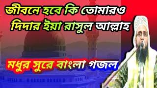 মৌলানা।    আনিকুল।  ইসলাম।   আশরাফীর। ওয়াজ ও গজল।    ইটাহার জলসায়