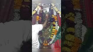 लक्ष्मीनाथ मन्दिर || प्रातः आरती दर्शन || फतेहपुर शेखावाटी || laxminath darbar || Live aarti