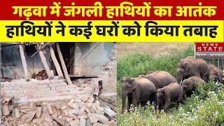 Garhwa News: गढ़वा में जंगली हाथियों का आतंक, हाथियों ने कई घरों को किया तबाह | Jharkhand News