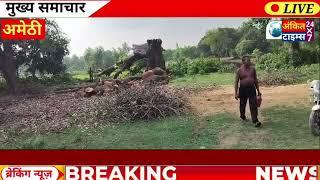 #अमेठी -: लकडकटो वा पुलिस की मिली भगत से चला महुआ के पेड़ पर आरा देखें पूरी खबर