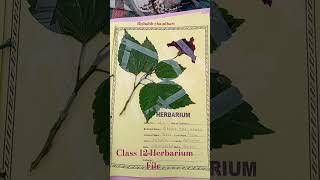 Herberium file class 12th ग्राम विकास इंटर कॉलेजखुटहन जौनपुर