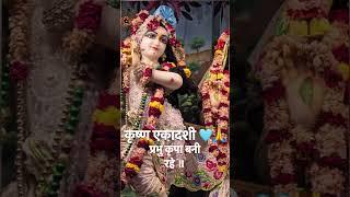 Krishna Ekadashi |