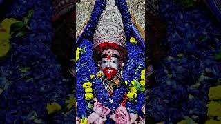 🙏🌺জয় মা তারা মা 🙏🌺#তারাপীঠ #বীরভূম #shortvideo 🌺🌺🙏🙏❤️