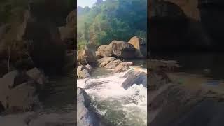 Jonha fall Ranchi//shorts video