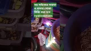 গাজীপুর সদর কোনাবাড়ি। হাসঁ মুরগি খাদ্য বিটল লারভা।