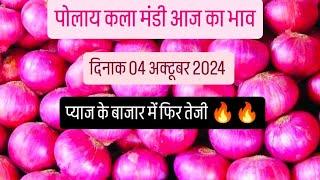 दिनाक 04 अक्टूबर 2024 पोलाय कला मंडी आज का प्याज का भाव प्याज के बाजार में तेजी या मंदी 🔥🔥