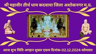 श्री १००८ अतिशयकारी महावीर धाम कदवाया जिला अशोकनगर म.प्र.आज की शान्तिधारा 02.12.2024 -सोमवार