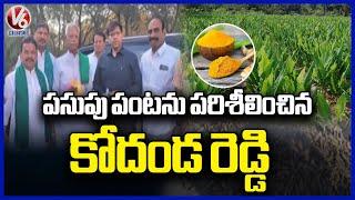 Rythu Commission Chairman Kodanda Reddy Inspects Turmeric Farming | Nizamabad | V6 News