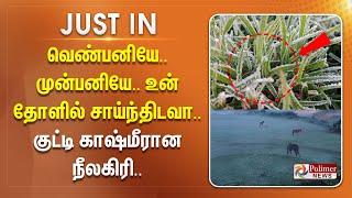 #JUSTIN  || வெண்பனியே..முன்பனியே..உன் தோளில் சாய்ந்திடவா..குட்டி காஷ்மீரான நீலகிரி..