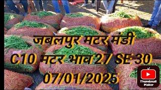 c10 मटर आज का भाव। जबलपुर मटर मंडी एमपी। matar rate today। 8770461362 #viralvideo 07/01/2025