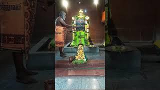 காட்பாடி ஸ்ரீ ராகவேந்திர ஸ்வாமி ஆலய இன்றைய தரிசனம் குருவே சரணம். தாசன் மோதிலால் சுவாமி.