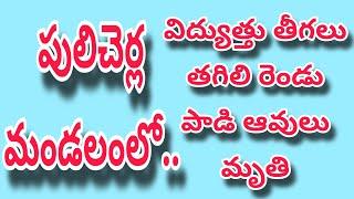 పులిచెర్ల మండలంలో విద్యుత్తు తీగలు రెండు పాడి ఆవులు మృతి.