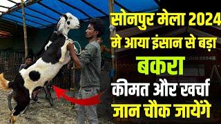 sonpur mela 2024 | इंसान से बड़ा बकरा | sonpur mela bakri bajar | sonepur mela bihar 2024| pashu mela