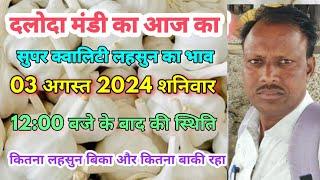 दलोदा मंडी का आज का 03 अगस्त 2024 शनिवार || सुपर क्वालिटी लहसुन का भाव || Garlic