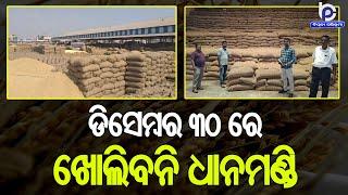 Paddy Procurement in Gajapati: Mandi Will Not Open On 30th Dec, Reschedule to 7th Jan | News Update