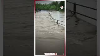 Surat News | સુરતના માંડવીમાં વાવ્યા નદી બની ગાંડીતૂર | Weather Update | Surat | Mandvi