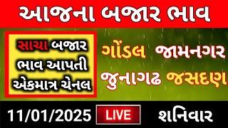 🌱 Aajna bajar bhav 11/01/2025 |આજના બજાર ભાવ |gondal Aajna bajar bhav |Jamnagar bajar bhav