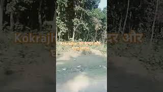 हमारा के लेले चल गाव नगरिया ll #viralvideos #reels At Kokrajhar