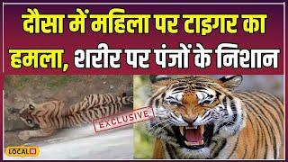 Tiger Attack के बाद Dausa और Alwar में बढ़ी चिंता, घायल महिला ने बताया खौफनाक मंजर