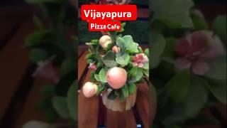 Vijayapura |pizza cafe