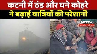 MP Weather Report :  कटनी में ठंड और घने कोहरे ने बढ़ाई यात्रियों की परेशानी | Latest News | Winter