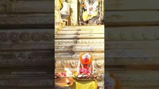 Sri kalahasti శ్రీకాళహస్తి శ్రీమేధా గురు దక్షిణామూర్తి స్వామికి అభిషేకం శ్రీకాళహస్తి దేవాలయం.