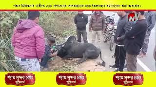 মহাদেবের ষাঁড় তথা পশুর চিকিৎসার দাবীতে এবং প্রশাসনের তালবাহানার জন্য কৈলাসহর ধর্মনগরের রাস্তা অবরোধ।