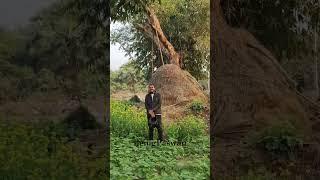 Sarson ka khet | Friend | Being Paswan | sahibganj Jharkhand |