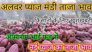 आसाराम भाई फड़ से लाइव नीलामी अलवर प्याज मंडी ताजा भाव #Red Onion Price #Alwar pyaj mandi