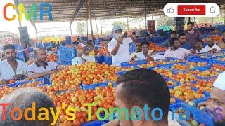 Today's Tomato rates at CMR Mandi, Kolar Karnataka 26 November 24 🍅🍅🍅🍅🍅🍅🍅🍅🍅