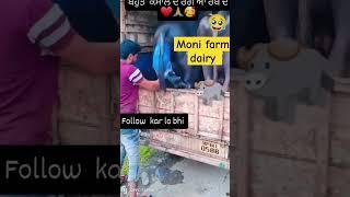 Moni farm dairy sulehra narwana jind haryana