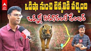 Srikakulam Tiger Fear Forest officers | శ్రీకాకుళం జిల్లాలో పెద్దపులి సంచారంపై అటవీశాఖ అధికారులు