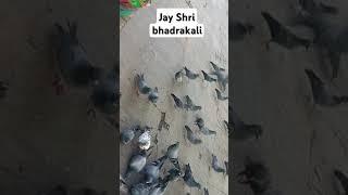 Guru a Gaya bin kas ja na ki se jay