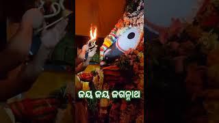 ଜୟ ଜୟ ଜଗନ୍ନାଥ ନୀଳଗିରି ବାସି #jayjagannath #