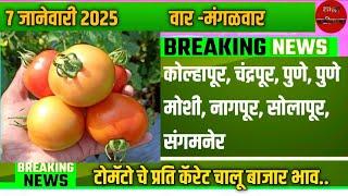 कोल्हापूर, चंद्रपूर, पुणे, पुणे मोशी, नागपूर, सोलापूर, संगमनेर टोमॅटोचे आजचे बाजार भाव 7/1/2025