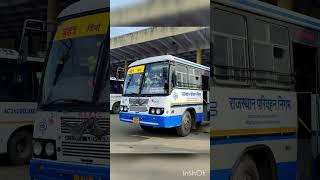 Rajasthan Roadways buses driver. Jhunjhunu Delhi(chirawa singhana, Narnaul,Rewari)