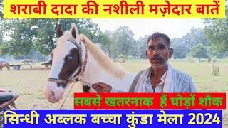 बुकुन जी मेले में बेच रहे सस्ते चालबाज घोड़े कुंडा प्रतापगढ़ up horse amethi 🔥