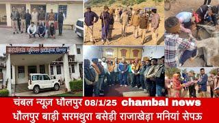 चंबल न्यूज़ धौलपुर 8/1/25 chambal news धौलपुर बाड़ी सरमथुरा बसेड़ी राजाखेड़ा मनियां सेपऊ